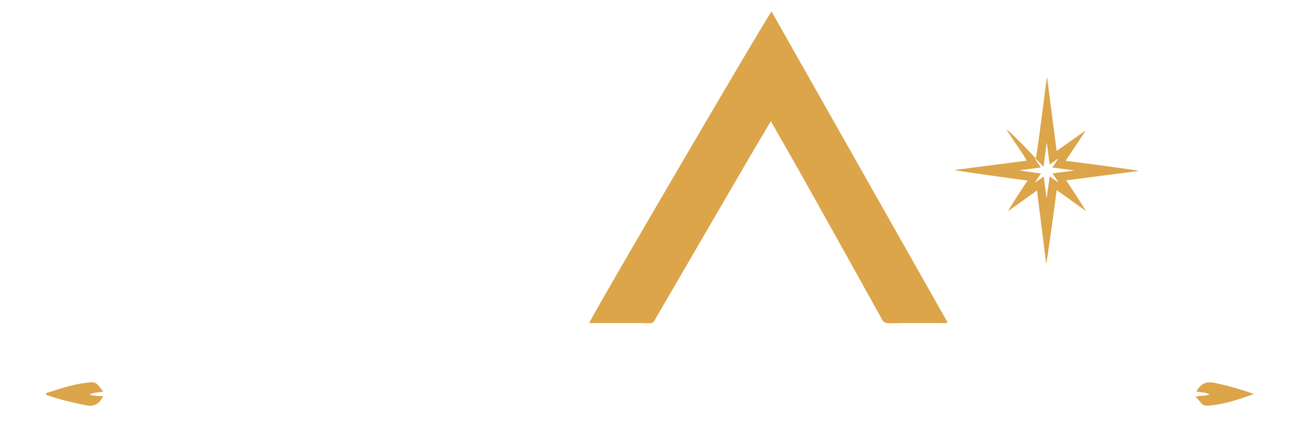 fnao logo white